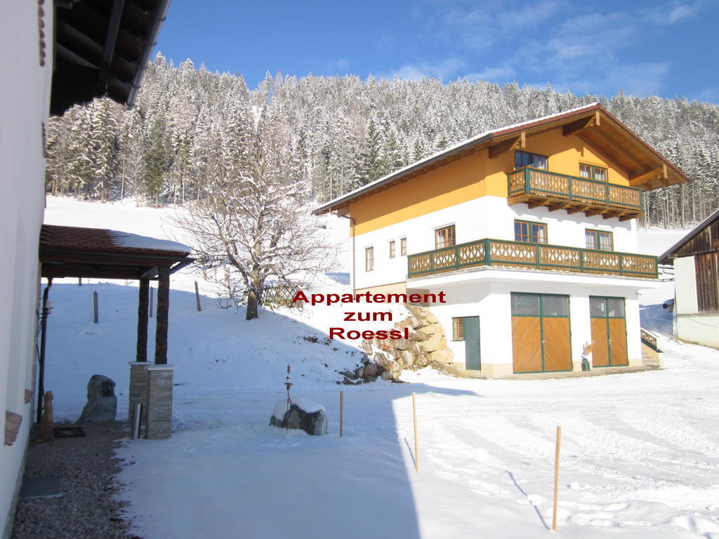 Appartement Zum Roessl Ramsau am Dachstein Room photo
